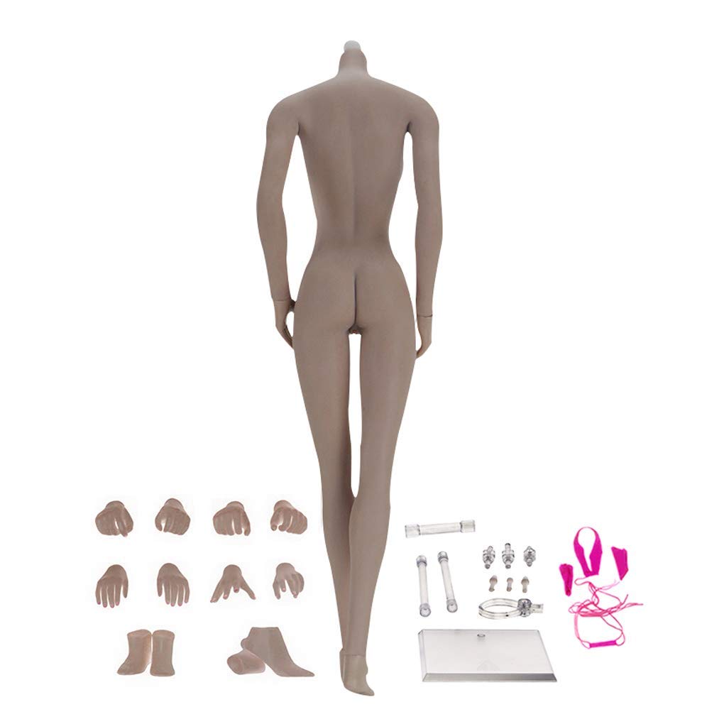 ZSMD 1:6 female action figure, seamless body in sexy bikini, large